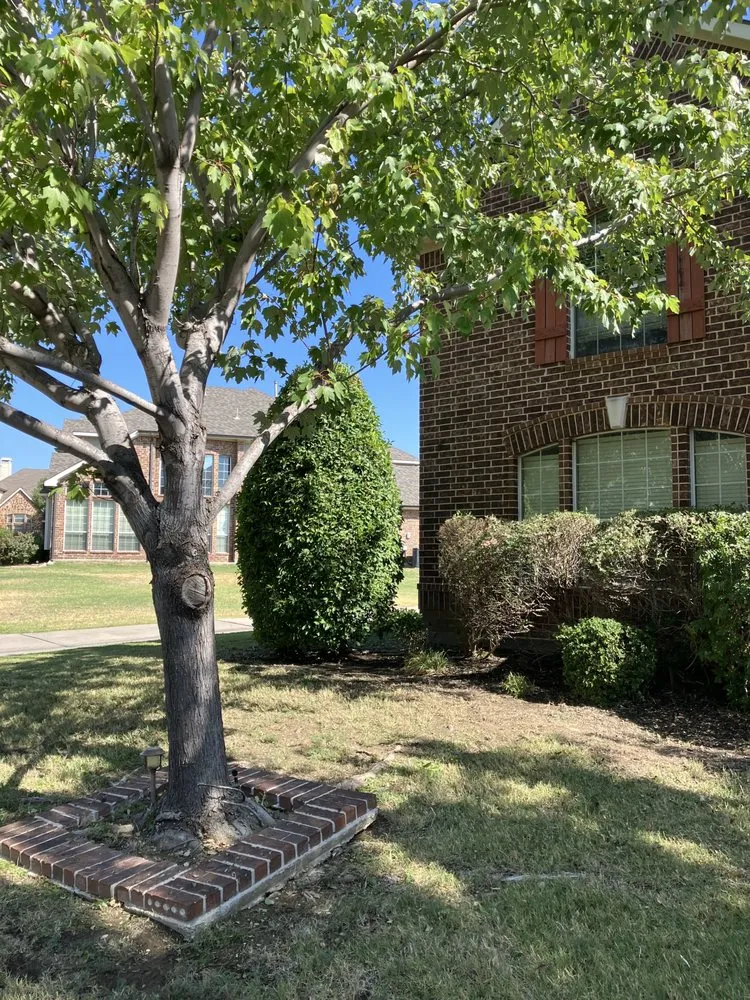 Local garden landscaping experts serving Garland, TX - Southern Clean