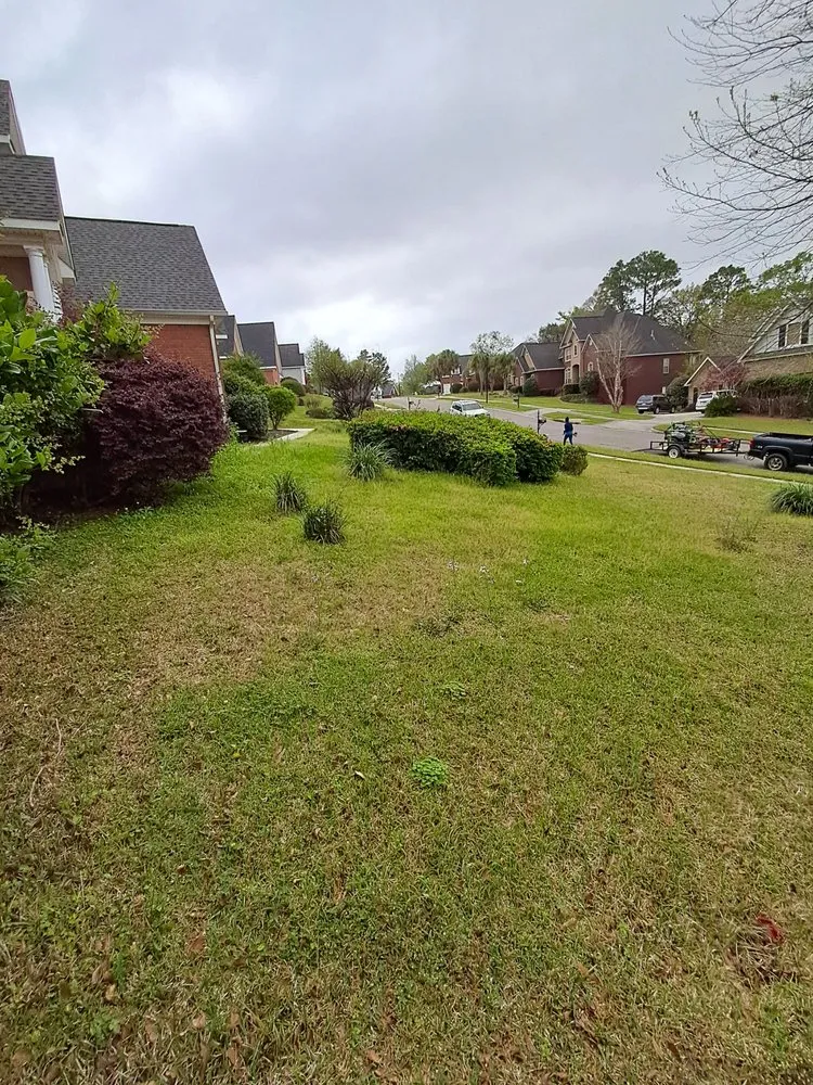 Local outdoor landscaping experts serving Moss Point, MS - Southern cleaning solutions