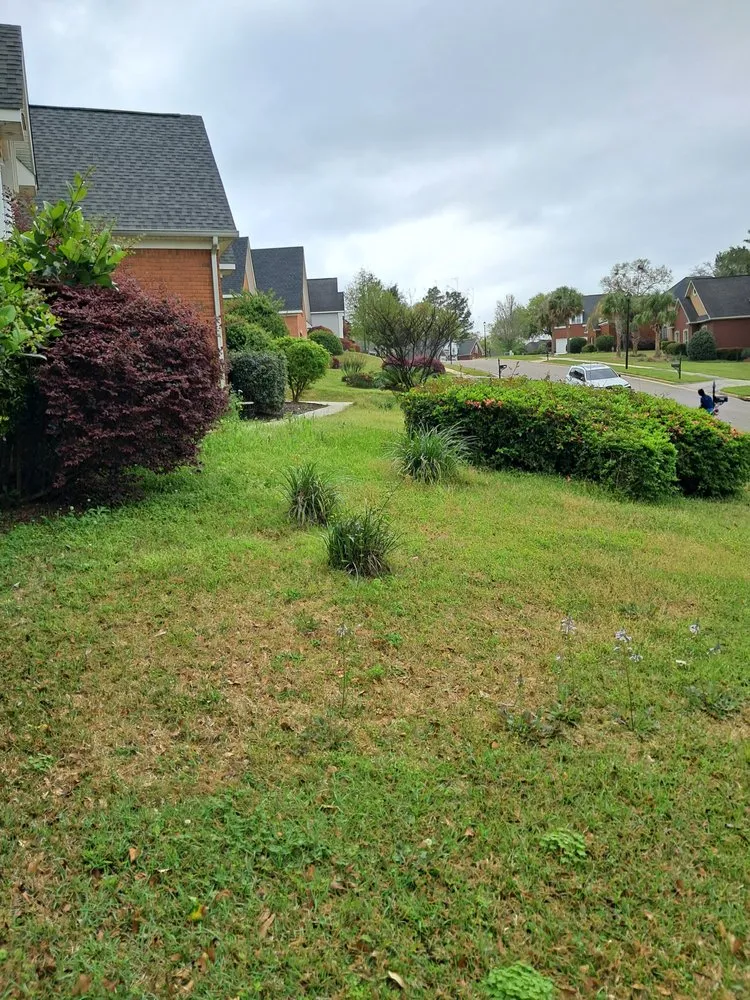 Affordable lawn care service for outdoor upgrades across Moss Point, MS - Southern cleaning solutions