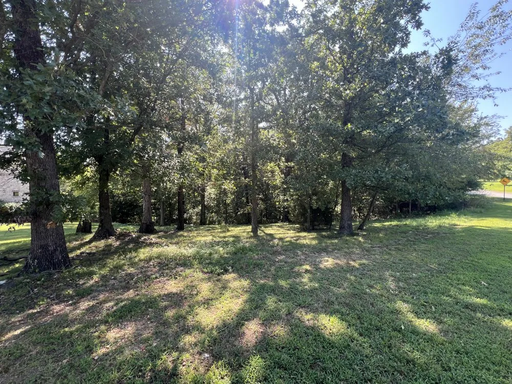 Affordable residential landscaping experts serving Bentonville, AR - Southern ClearView