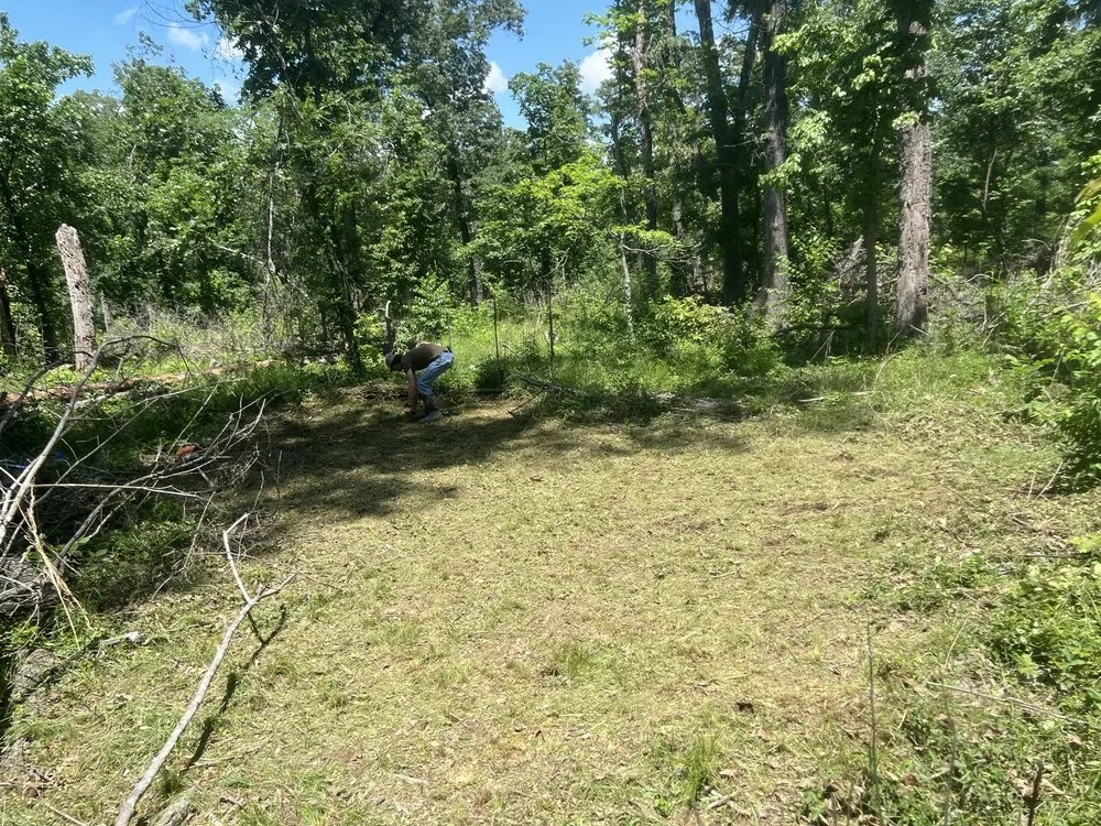 Top-rated landscaping services in Bentonville, AR by Southern ClearView