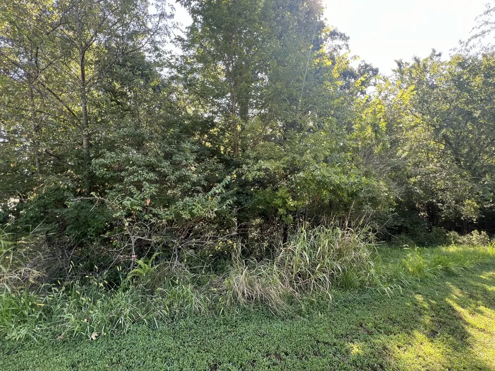 Reliable landscape design in Bentonville, AR - Southern ClearView