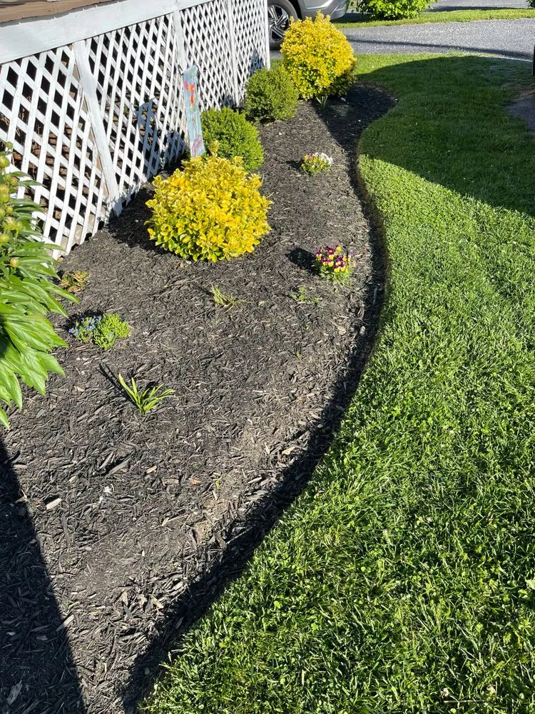 Professional yard cleanup service experts serving Strasburg, VA - Southern Comfort Landscaping