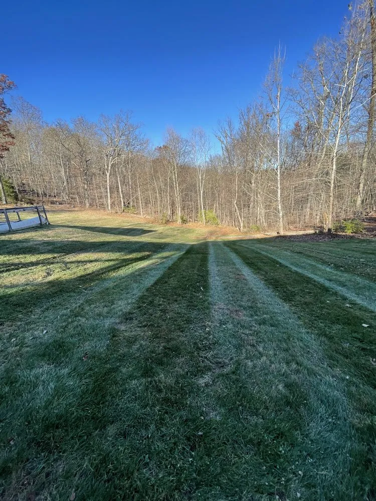 Affordable yard cleanup service in Strasburg, VA by Southern Comfort Landscaping