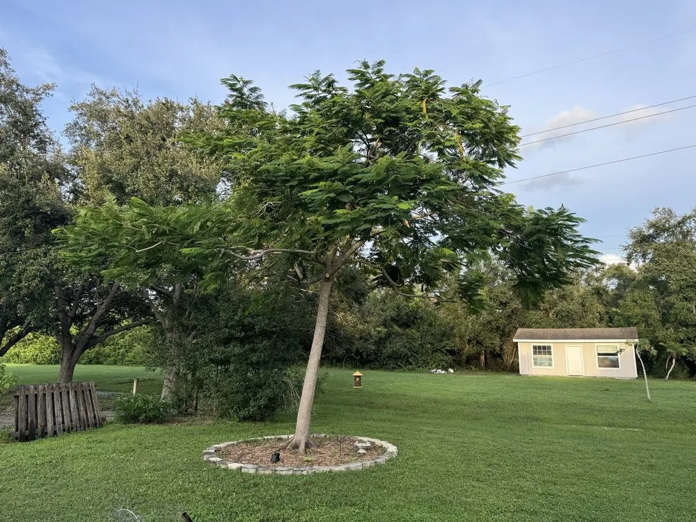 Affordable landscape design in Bradenton, FL - Southern Comfort Tree Service