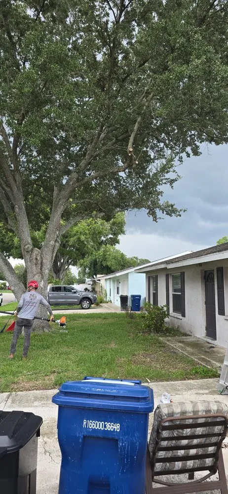 Expert landscape design experts serving Bradenton, FL - Southern Comfort Tree Service