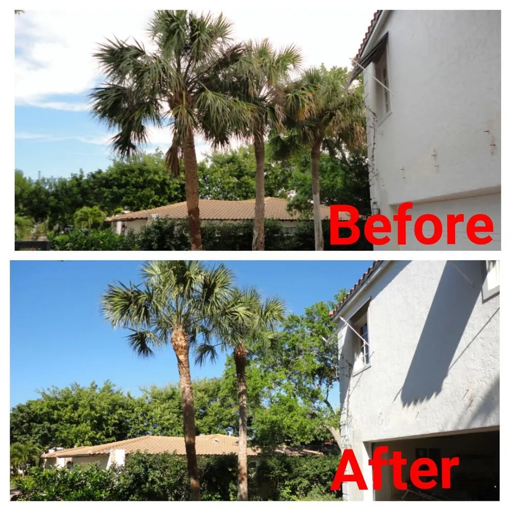 Top-rated residential landscaping with custom design in Bradenton, FL by Southern Comfort Tree Service