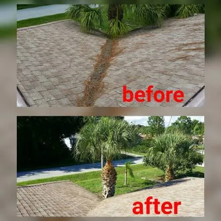 Reliable landscaping services for homes in Bradenton, FL by Southern Comfort Tree Service