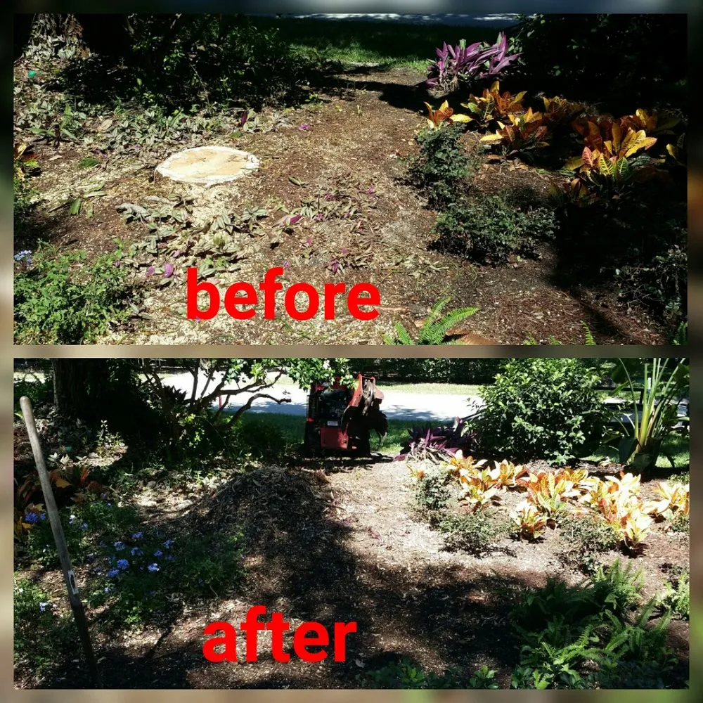 Trusted landscape installation experts serving Bradenton, FL - Southern Comfort Tree Service