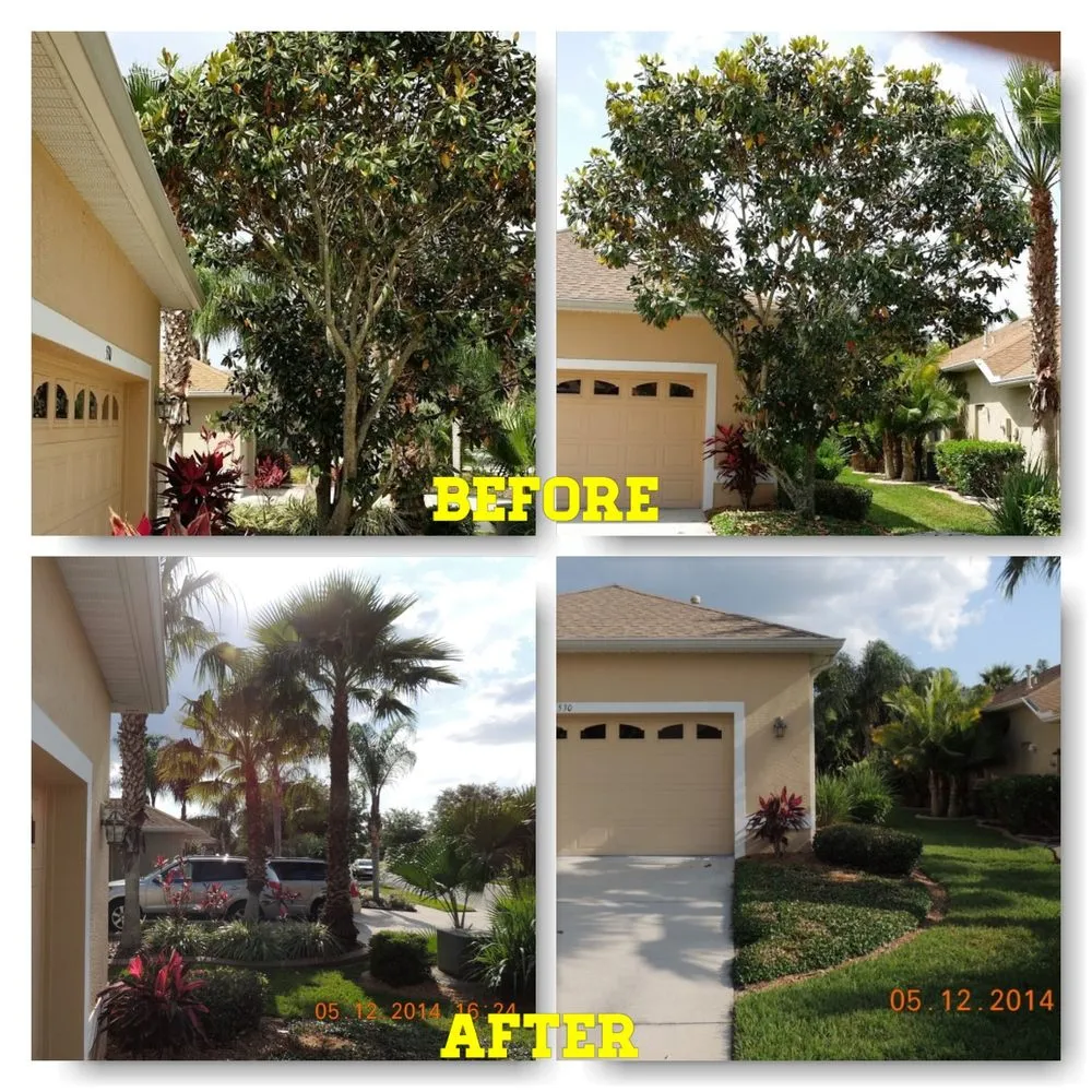 Affordable landscape installation in Bradenton, FL by Southern Comfort Tree Service