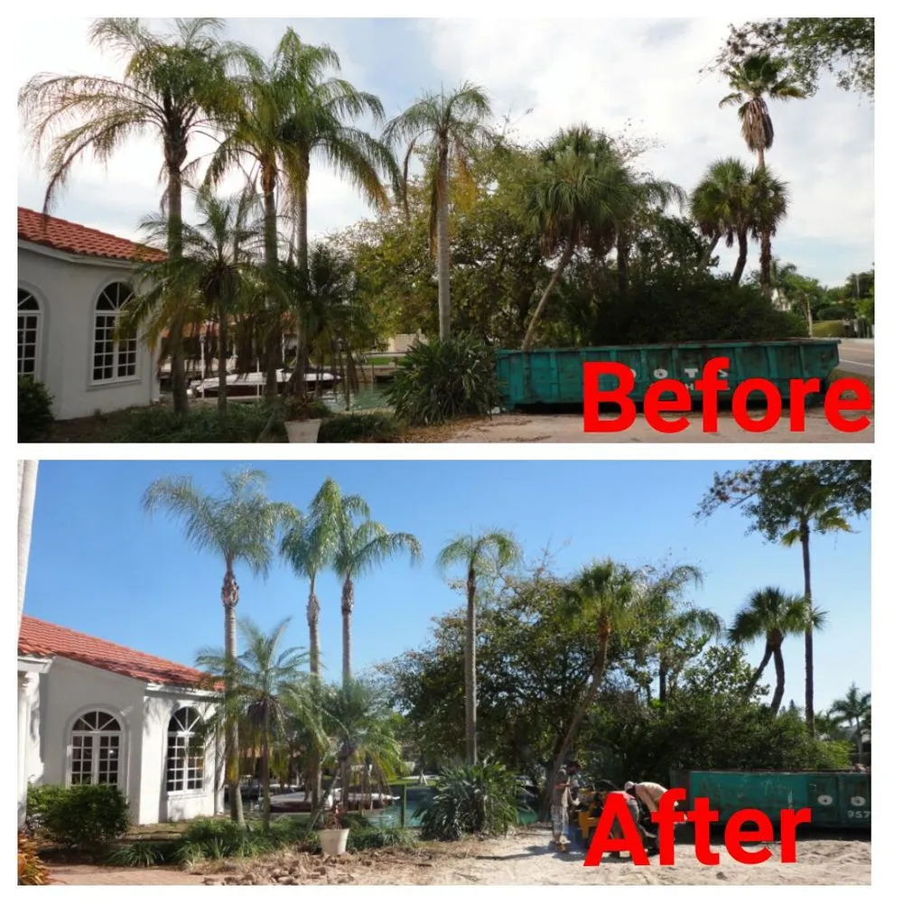 Professional landscaping services experts serving Bradenton, FL - Southern Comfort Tree Service