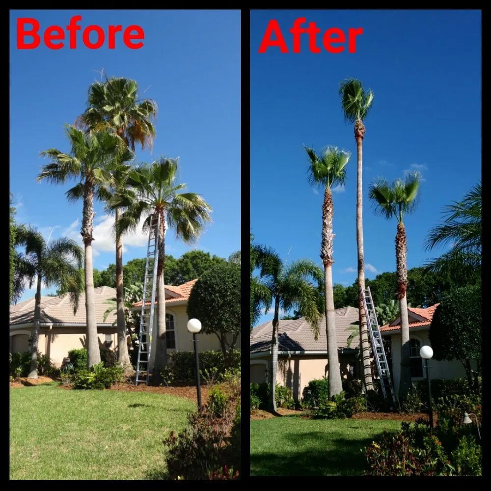 Professional lawn care service experts serving Bradenton, FL - Southern Comfort Tree Service