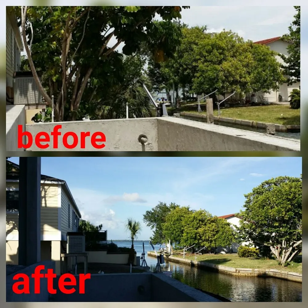 Local yard maintenance in Bradenton, FL by Southern Comfort Tree Service