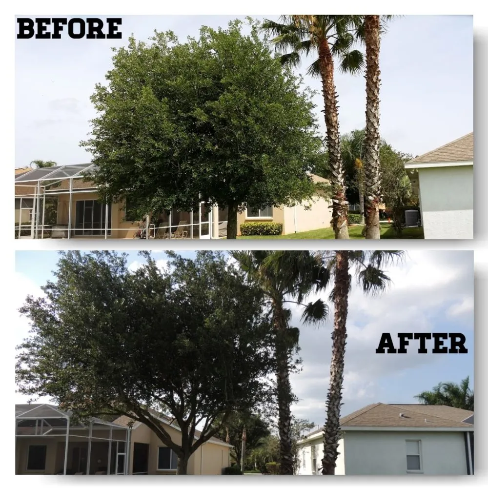 Custom lawn mowing service in Bradenton, FL by Southern Comfort Tree Service