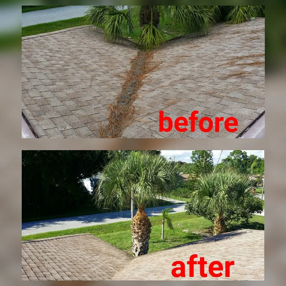 Top-rated outdoor landscaping experts serving Bradenton, FL - Southern Comfort Tree Service