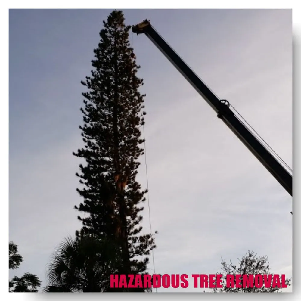 Custom landscape installation for outdoor upgrades across Bradenton, FL - Southern Comfort Tree Service