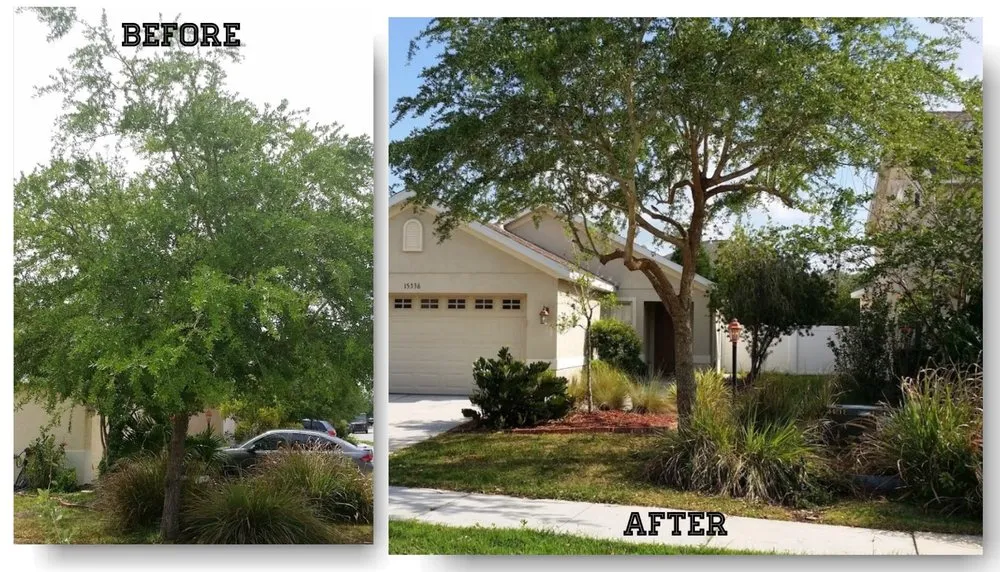 Professional yard cleanup service in Bradenton, FL by Southern Comfort Tree Service