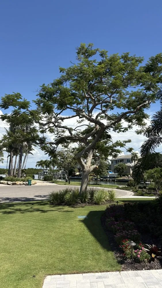 Reliable landscape design in Bradenton, FL - Southern Comfort Tree Service