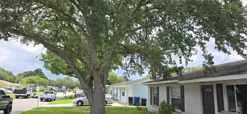 Trusted landscaping services in Bradenton, FL - Southern Comfort Tree Service