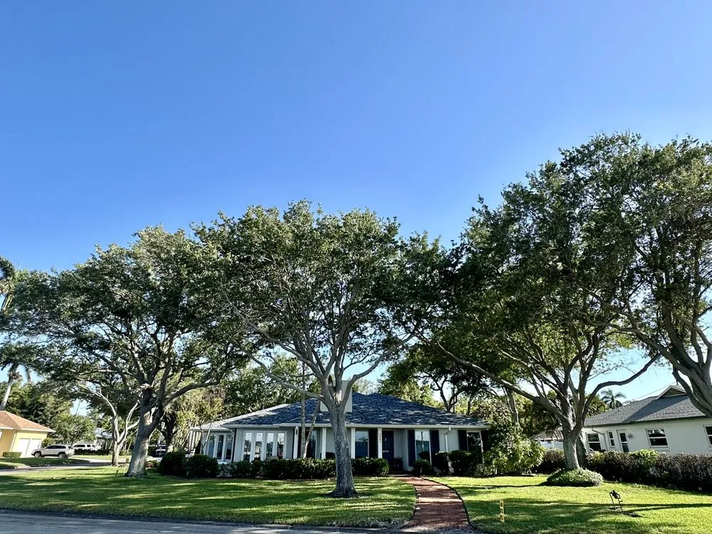 Expert lawn mowing service in Bradenton, FL by Southern Comfort Tree Service