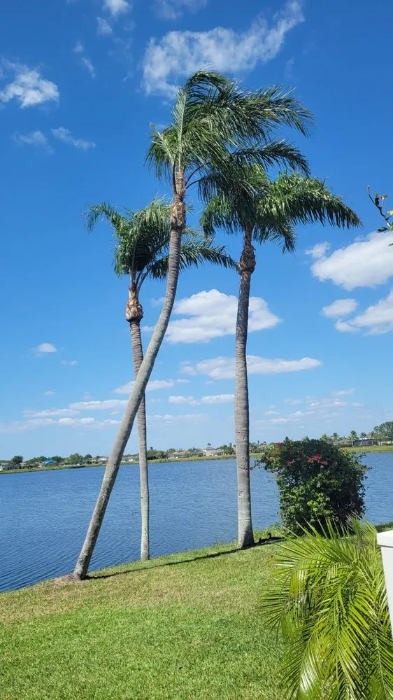 Affordable landscaping services in Bradenton, FL by Southern Comfort Tree Service