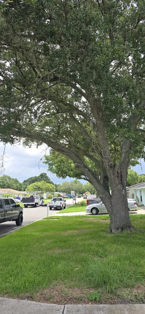 Trusted residential landscaping in Bradenton, FL by Southern Comfort Tree Service