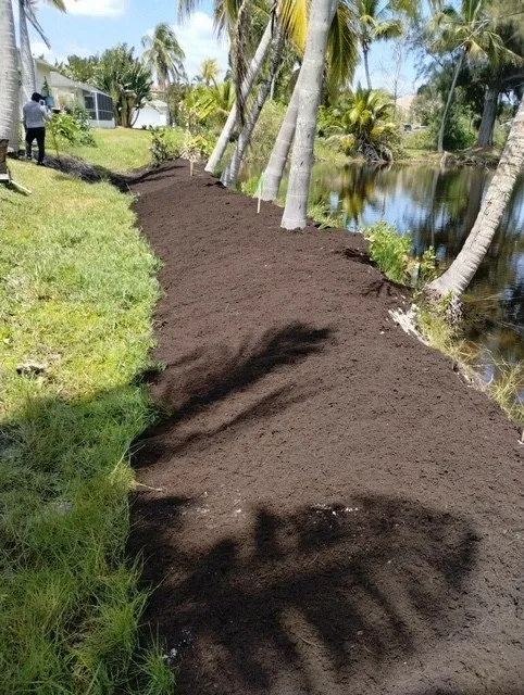 Custom landscape design for outdoor upgrades across North Fort Myers, FL - Southern Country Land