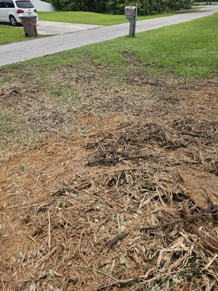 Top-rated yard cleanup service for outdoor upgrades across North Fort Myers, FL - Southern Country Land