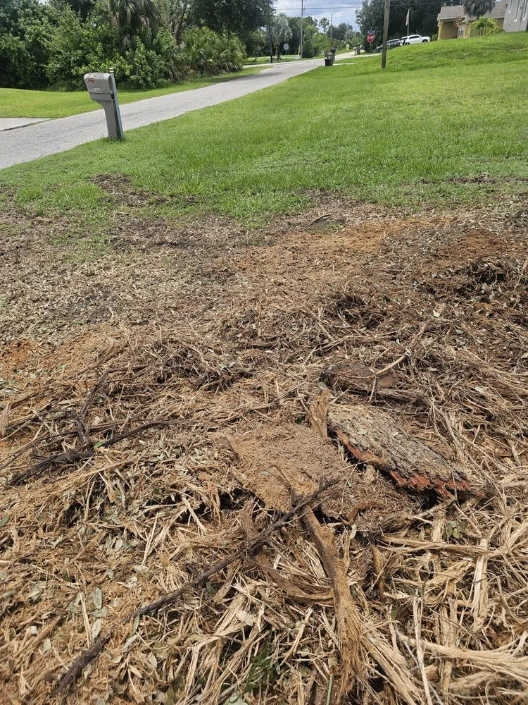 Top-rated yard cleanup service in North Fort Myers, FL by Southern Country Land