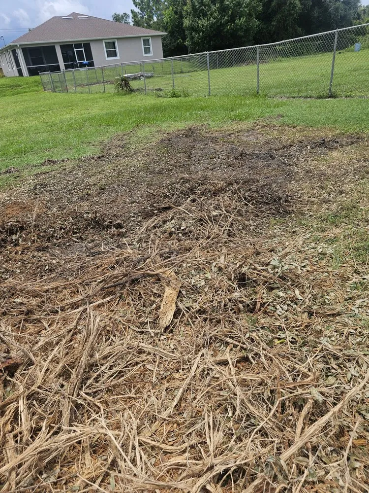 Custom outdoor landscaping for residential properties across North Fort Myers, FL - Southern Country Land