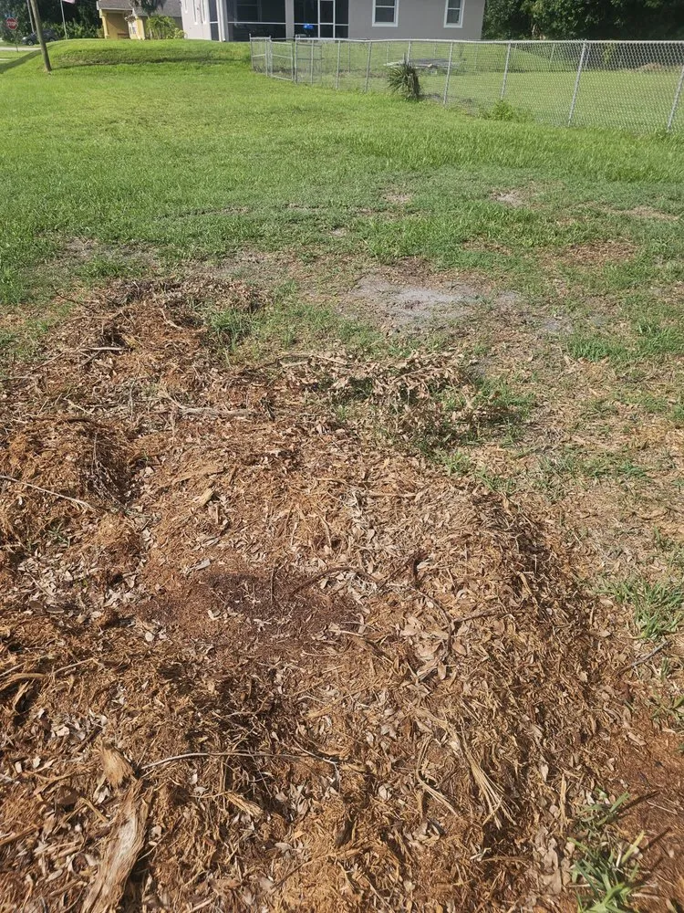 Local yard cleanup service experts serving North Fort Myers, FL - Southern Country Land