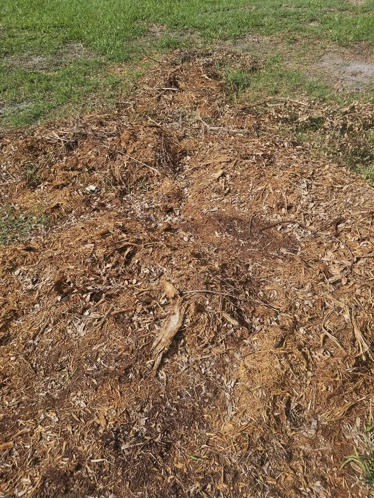 Expert lawn care service for homes across North Fort Myers, FL - Southern Country Land