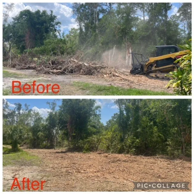 Trusted landscape design for year-round maintenance across North Fort Myers, FL - Southern Country Land
