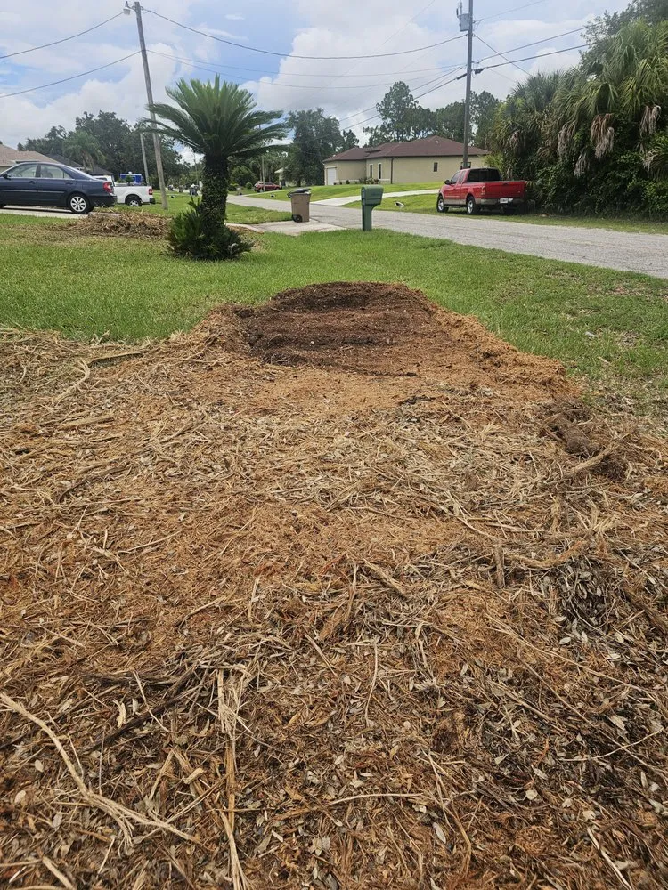 Custom yard maintenance experts serving North Fort Myers, FL - Southern Country Land