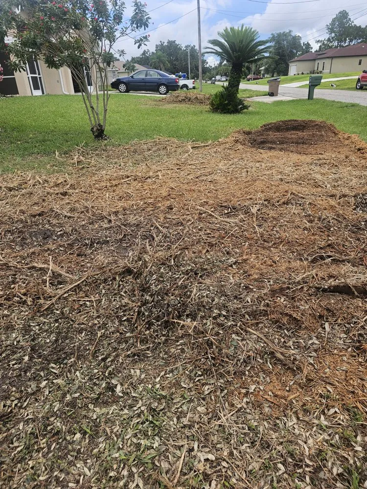 Professional landscape design near you in North Fort Myers, FL by Southern Country Land