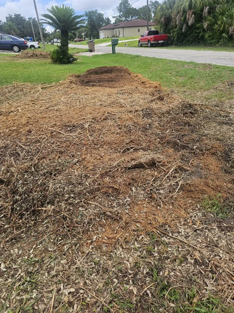 Custom landscape design in North Fort Myers, FL by Southern Country Land