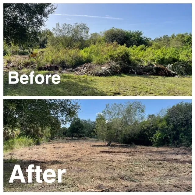 Reliable landscaping services experts serving North Fort Myers, FL - Southern Country Land