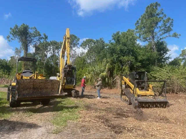 Top-rated landscaping services in North Fort Myers, FL - Southern Country Land