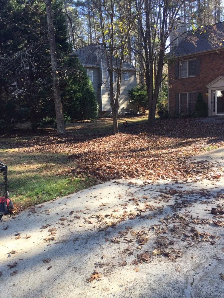 Expert landscape design in Acworth, GA by Southern Creation Grounds