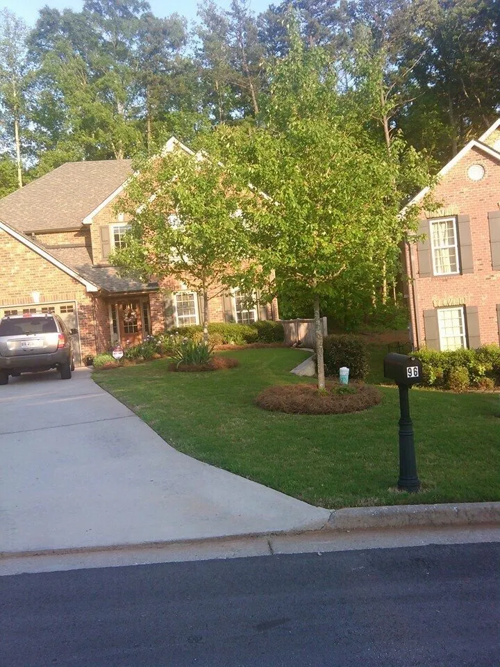 Expert yard cleanup service near you in Acworth, GA by Southern Creation Grounds