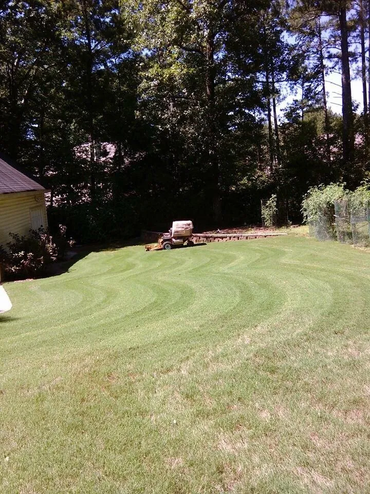 Professional landscape installation in Acworth, GA by Southern Creation Grounds