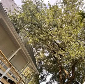 Affordable lawn care service in Mount Washington, KY by Southern Cut