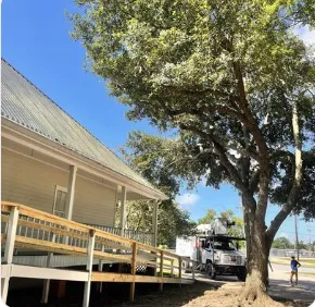 Expert landscaping services experts serving Mount Washington, KY - Southern Cut