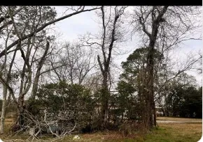 Top-rated lawn mowing service in Mount Washington, KY - Southern Cut