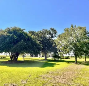Trusted yard maintenance in Mount Washington, KY - Southern Cut