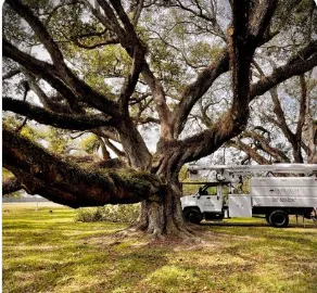 Top-rated landscape design in Mount Washington, KY by Southern Cut