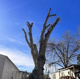 Top-rated lawn mowing service with custom design in Mount Washington, KY by Southern Cut