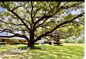 Affordable landscaping services experts serving Mount Washington, KY - Southern Cut