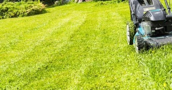 Trusted yard maintenance for year-round maintenance in Covington, GA by Southern Cuts Landscaping Services