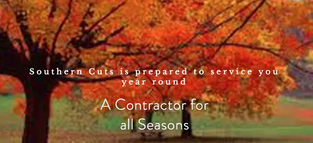 Custom lawn mowing service in Covington, GA - Southern Cuts Landscaping Services